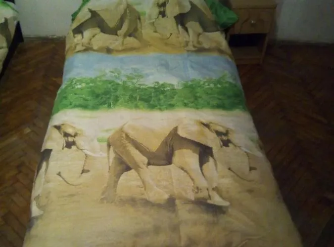 Operahouse Budapesta