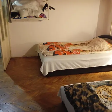 Operahouse ホステル